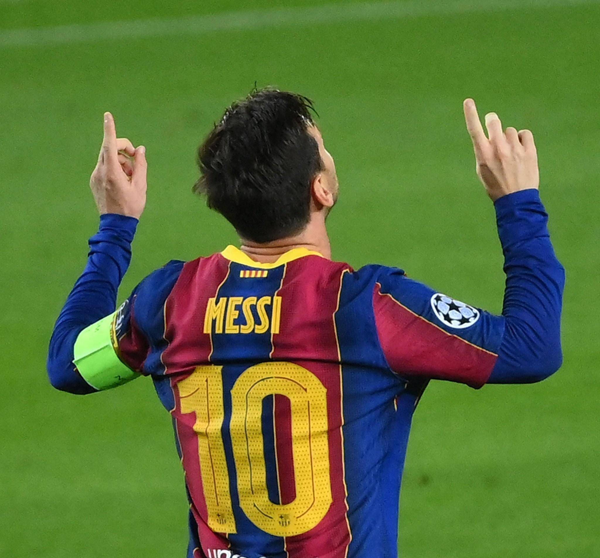 本土教练的 本土教练的