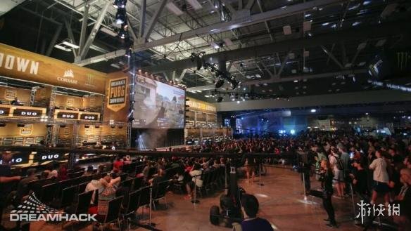 一个鲜明的 一个鲜明的